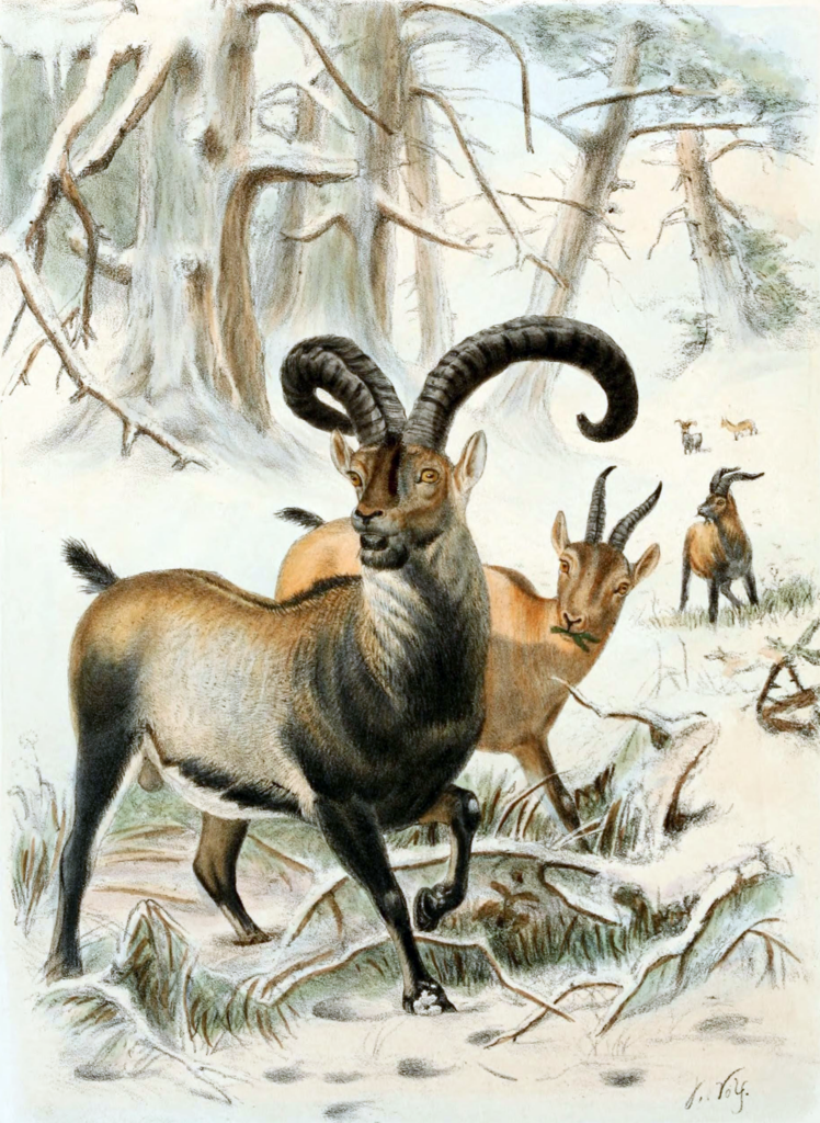 de extinct animals